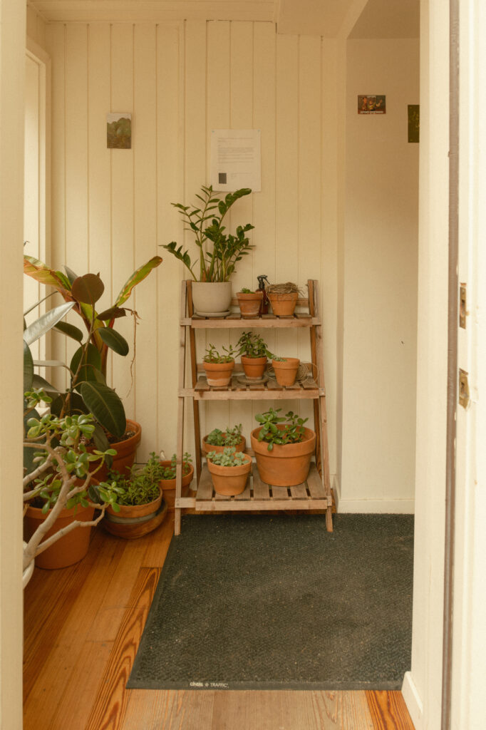a variety of indoor plants on a plant stand