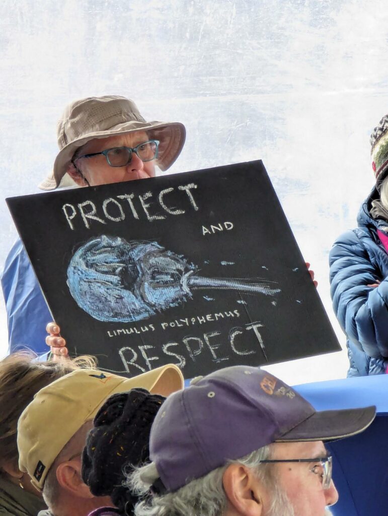 person holding protect and respect horseshoe crab sign